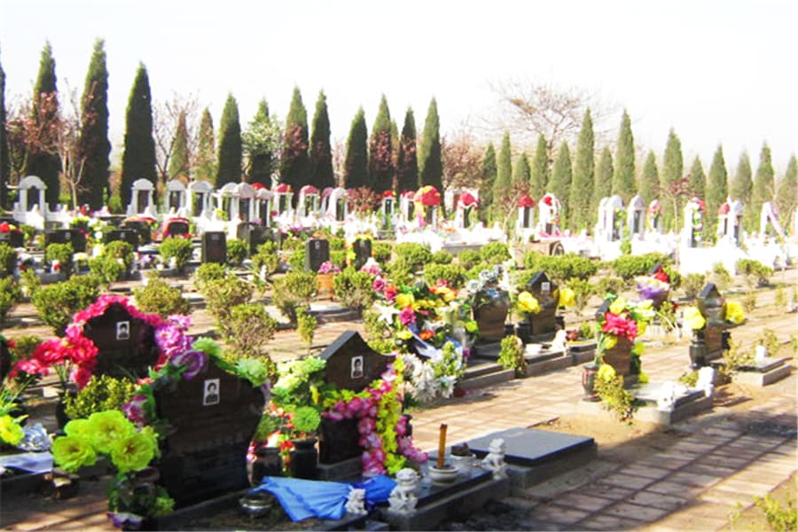 墓区环境图